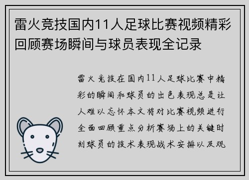 雷火竞技国内11人足球比赛视频精彩回顾赛场瞬间与球员表现全记录